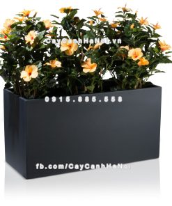 Chậu composite trồng cây cao cấp Anber 5001 (Đen mờ) 2 chau composite trong cay cao cap anber 5001den mo 1