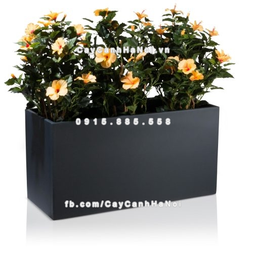 chau_composite_trong_cay_cao_cap_anber_5001den-mo-1