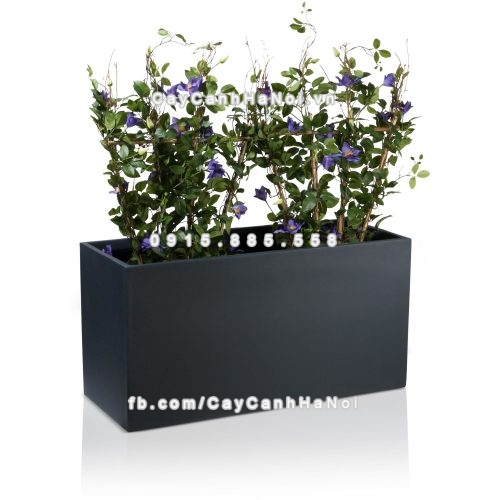 chau_composite_trong_cay_cao_cap_anber_5001den-mo-5