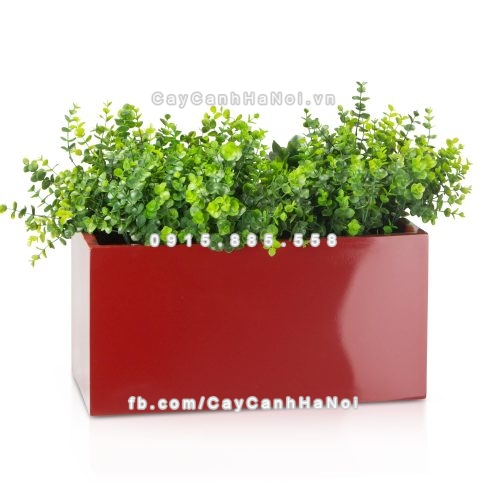 chau_composite_trong_cay_cao_cap_anber_5001do-bong-4