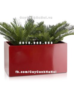 Chậu composite trồng cây cao cấp Anber 5001 (Đỏ đô) 4 chau composite trong cay cao cap anber 5001do bong 5