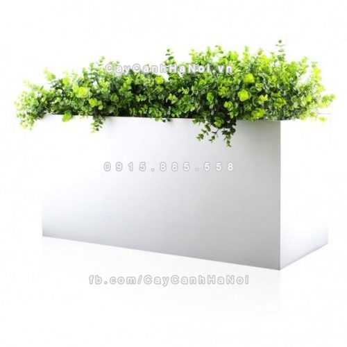 chau_composite_trong_cay_cao_cap_anber_5001trag-bong-3