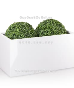 Chậu composite trồng cây cao cấp Anber 5001 (Trắng bóng) 3 chau composite trong cay cao cap anber 5001trag bong 4