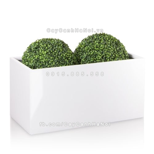 chau_composite_trong_cay_cao_cap_anber_5001trag-bong-4