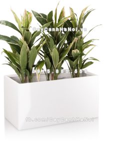 Chậu composite trồng cây cao cấp Anber 5001 (Trắng bóng) 4 chau composite trong cay cao cap anber 5001trag bong 5