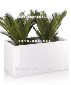 Chậu composite trồng cây cao cấp Anber 5001 (Trắng bóng) 6 chau composite trong cay cao cap anber 5001trag bong 7