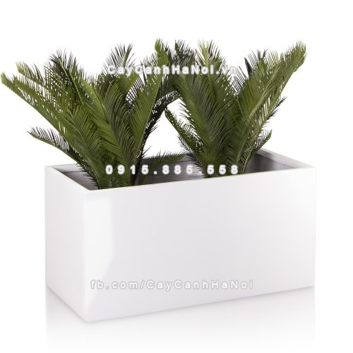 chau_composite_trong_cay_cao_cap_anber_5001trag-bong-7