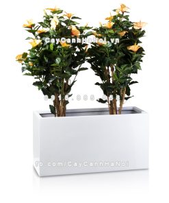 Chậu composite trồng cây cao cấp Anber 5001 (Trắng bóng) 7 chau composite trong cay cao cap anber 5001trag bong 8