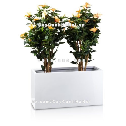 chau_composite_trong_cay_cao_cap_anber_5001trag-bong-8