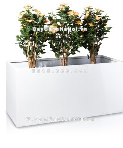 Chậu composite trồng cây cao cấp Anber 5001 (Trắng bóng) 8 chau composite trong cay cao cap anber 5001trag bong 9