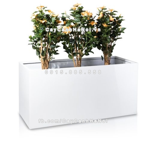 chau_composite_trong_cay_cao_cap_anber_5001trag-bong-9