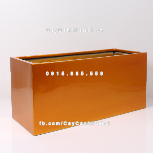 chau_composite_trong_cay_cao_cap_anber_5001vang-gold-2