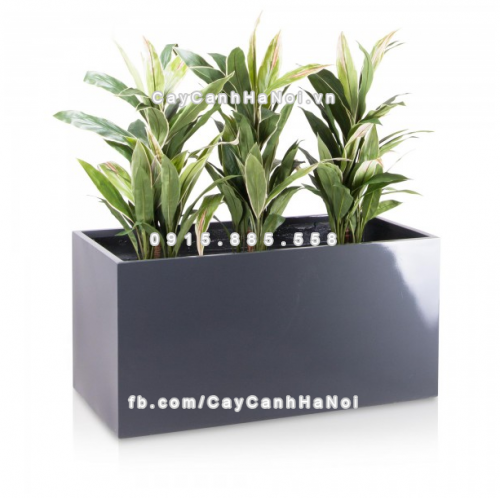 chau_composite_trong_cay_cao_cap_anber_5001xam-bong-2