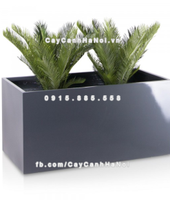 chau composite trong cay cao cap anber 5001xam bong 3