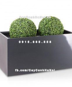 chau composite trong cay cao cap anber 5001xam bong 4