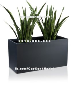 Chậu composite trồng cây cao cấp Anber 5001 (Xám mờ) 1 chau composite trong cay cao cap anber 5001xam mo 2