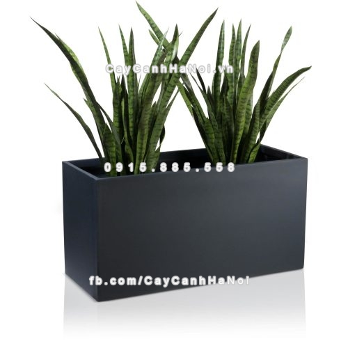 chau_composite_trong_cay_cao_cap_anber_5001xam-mo-2