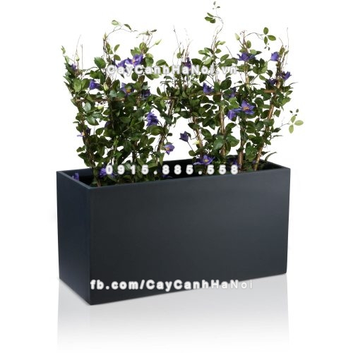 chau_composite_trong_cay_cao_cap_anber_5001xam-mo-3