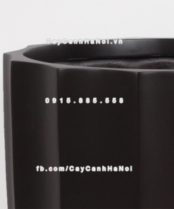Chậu composite trồng cây cao cấp Anber 6668 (Nâu mờ) 2 chau composite trong cay cao cap anber 6668 nau mo3