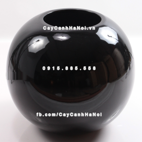 chau_composite_trong_cay_cao_cap_anber_se8889_den_bong_2