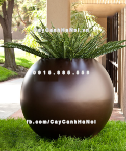Chậu composite trồng cây cao cấp Anber SE8889 (Nâu mờ) 1 chau composite trong cay cao cap anber se8889 nau mo 1