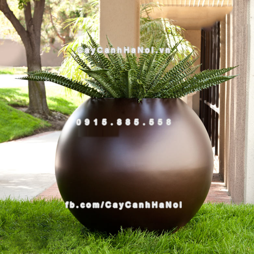 chau_composite_trong_cay_cao_cap_anber_se8889_nau_mo_1