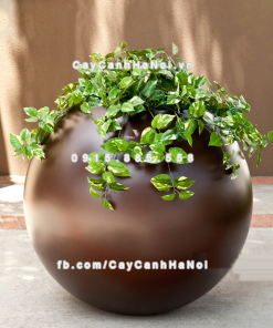 Chậu composite trồng cây cao cấp Anber SE8889 (Nâu mờ) 3 chau composite trong cay cao cap anber se8889 nau mo 5