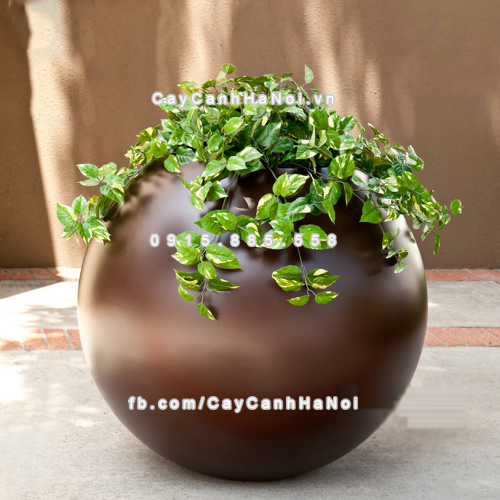 chau_composite_trong_cay_cao_cap_anber_se8889_nau_mo_5