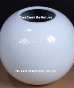 Chậu composite trồng cây cao cấp Anber SE8889 (Trắng bóng) 1 chau composite trong cay cao cap anber se8889 trang bong 1