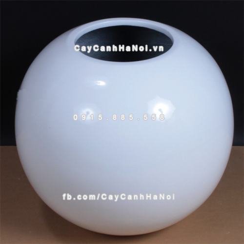 chau_composite_trong_cay_cao_cap_anber_se8889_trang_bong_1