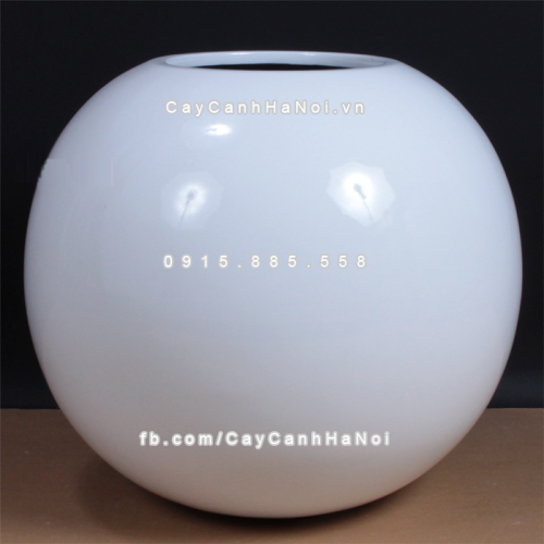 chau_composite_trong_cay_cao_cap_anber_se8889_trang_bong_2