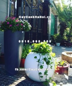 Chậu composite trồng cây cao cấp Anber SE8889 (Trắng bóng) 2 chau composite trong cay cao cap anber se8889 trang bong 3