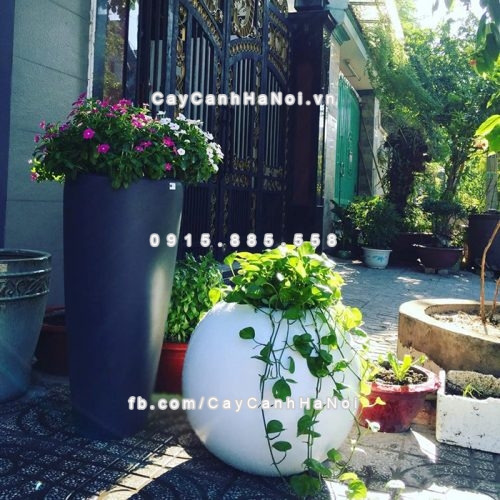 Chậu composite trồng cây cao cấp Anber SE8889 (Trắng bóng) 5 chau_composite_trong_cay_cao_cap_anber_se8889_trang_bong_3