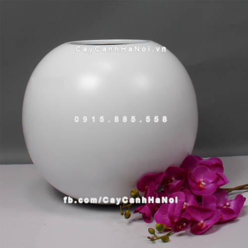 chau_composite_trong_cay_cao_cap_anber_se8889_trang_mo_5