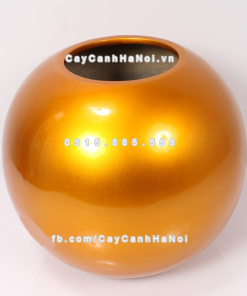 Chậu composite trồng cây cao cấp Anber SE8889 (Vàng gold) 1 chau composite trong cay cao cap anber se8889 vang 1