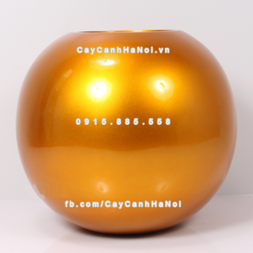 Chậu composite trồng cây cao cấp Anber SE8889 (Vàng gold) 5 chau_composite_trong_cay_cao_cap_anber_se8889_vang_2