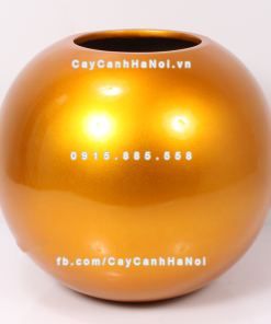 Chậu composite trồng cây cao cấp Anber SE8889 (Vàng gold) 2 chau composite trong cay cao cap anber se8889 vang 3