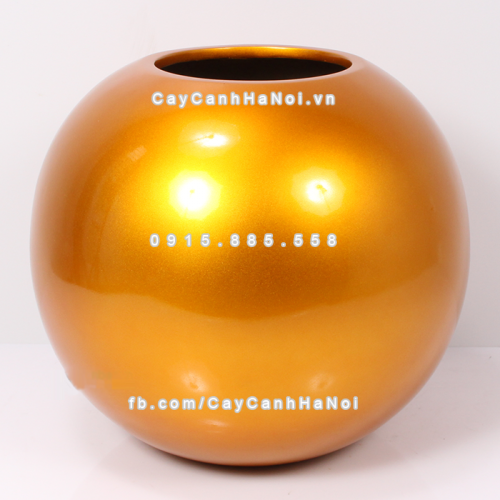 chau_composite_trong_cay_cao_cap_anber_se8889_vang_3