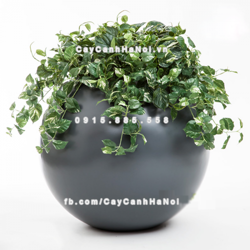 Chậu composite trồng cây cao cấp Anber SE8889 (Xám mờ) 3 chau_composite_trong_cay_cao_cap_anber_se8889_xam_3