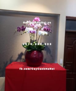 Chậu cây cảnh composite iPot tròn ( IP-00046)