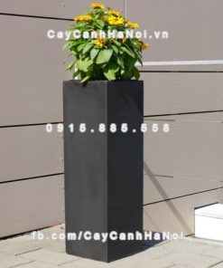 Chậu cây cảnh composite iPot vuông ( IP-00021 )
