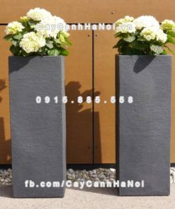 Chậu cây cảnh composite iPot vuông ( IP-00021 )