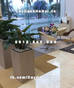 Chậu cây cảnh composite iPot vuông sang trọng ( IP-00017 ) 1 Chậu cây cảnh composite iPot vuông sang trọng ( IP-00017 )