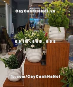 Chậu cây cảnh composite iPot xọc ngang ( IP-00059) 1 Chậu cây cảnh composite iPot xọc ngang ( IP-00059)
