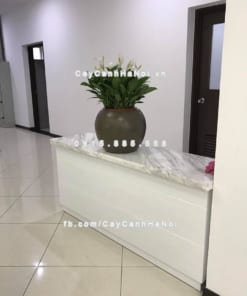 Chậu cây composite iPot tròn ( IP-00047) 1 Chậu cây composite iPot tròn ( IP-00047)