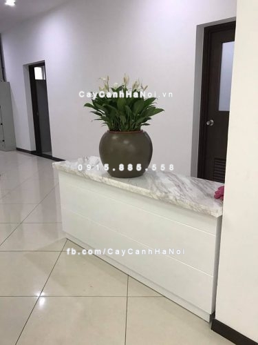 Chậu cây composite iPot tròn ( IP-00047) 2 Chậu cây composite iPot tròn ( IP-00047)