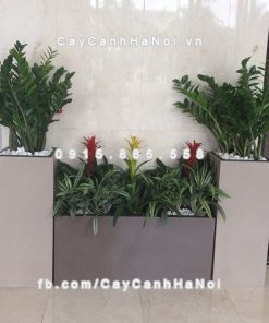 Chậu cây composite iPot vuông cao cấp ( IP-00018 ) 1 Chậu cây composite iPot vuông cao cấp ( IP-00018 )