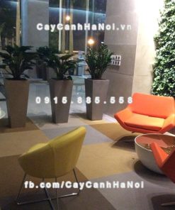 Chậu cây composite iPot vuông vát đáy ( IP-00075 )
