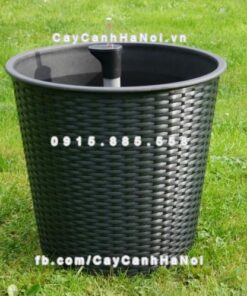 Chậu composite đan sợi có hệ thống tự tưới ( HTTT-12 )