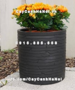 Chậu composite iPot cây cảnh tròn ( IP-00028)
